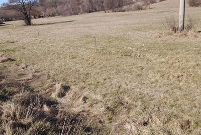 Teren de 9680 mp, în Deda - 3