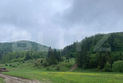 Teren intravilan 20.000 mp, zona Soarecului, Marginea Teren intravilan 20.000 mp, zona Soarecului, Marginea - 2