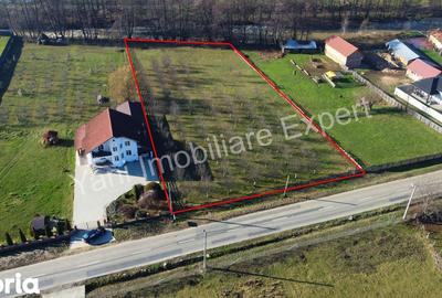Teren de 4166 mp, în Corbi - 8