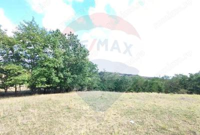 Teren intravilan - 1