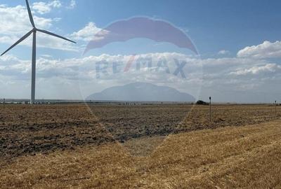 Teren intravilan de vanzare la 550m de plaja Corbu Constanta - 2