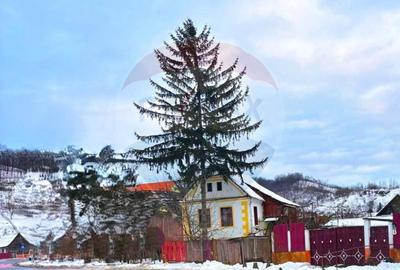 Casa in Mosna - curte 780mp - Zona centrala - 6