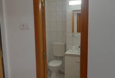 Militari Veteranilor Garsoniera de inchiriat - 17