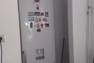 Dristor ,Camil Ressu, Park Lake - 2