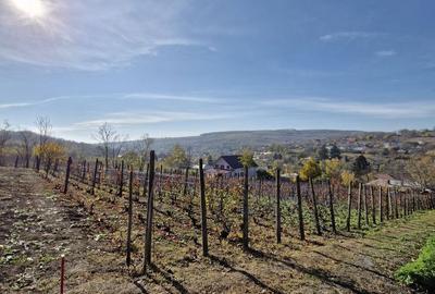 Spațiu comercial, în Rediu - 2