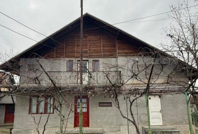 Proprietate completa in Sacuieni- Doua Case + Anexe - 20