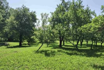 Rezervat - 4