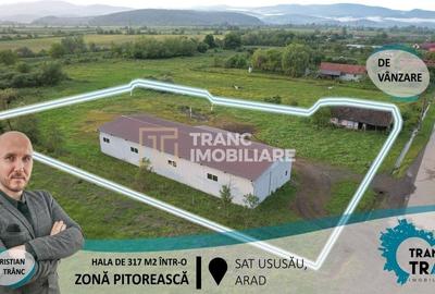 Spațiu industrial, de 317 mp, în Ususău - 1