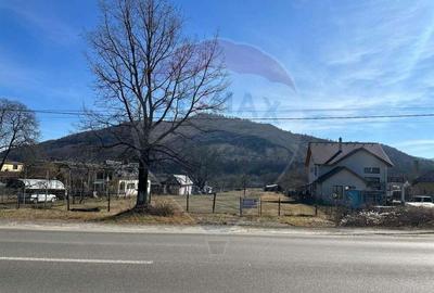 Teren de 3606 mp, în Pângărați - 2