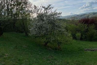 Teren de 4300 mp, în Breaza - 13