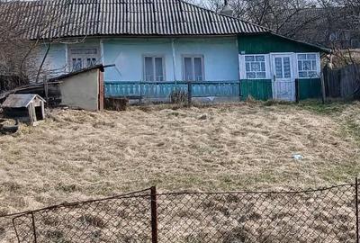 Casă cu Teren 2500 Mp în Răchiți - 2
