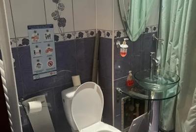 Apartament cu 2 camere semidecomandat în Craiovița Nouă - 6