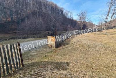 Teren de 4681 mp, în Bărăști - 14