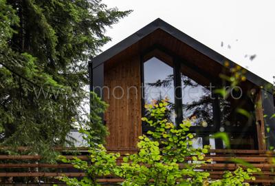 Sinaia – Vila Cu Design Scandinav, De Vânzare În Sinaia! TVA Inclus!!! - 3