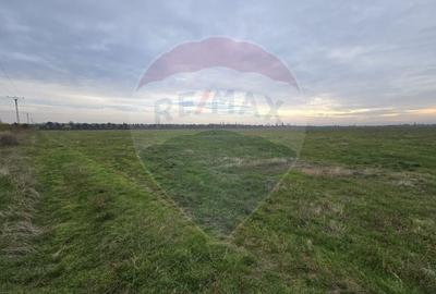 DE VANZARE Teren 25,000mp Ploiesti /  Centura de Vest - 10