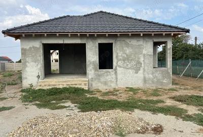 Casă cu Teren 960 Mp în Peciu Nou - 1