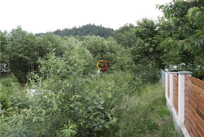 Teren Construcții intravilan de 2516 mp, în Moieciu - 7