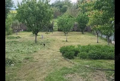 Casă cu 5 camere în Domnești - 4