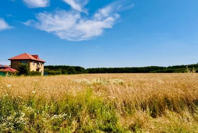 Teren Construcții intravilan de 1657 mp, în Ciofliceni