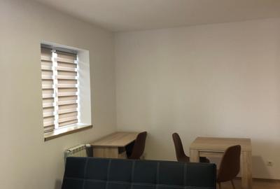 Apartament cu 2 camere semidecomandat, mobilat în Tătărași - 5