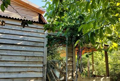 Teren de 1500 mp, în Săbăreni - 3