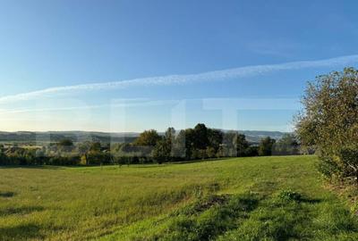 Casă cu 3 camere cu Teren 10000 Mp în Central