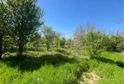 Teren de 4400 mp, în Grădinari - 4