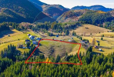 Teren de 13800 mp, în Fundățica - 5