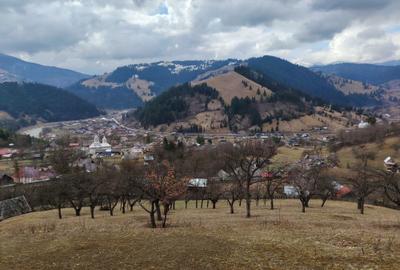 Spațiu comercial, în Farcașa