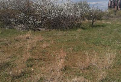 Vanzare proprietate industriala - 88.644mp Caracal si Comuna Plesoiu - Olt - 9