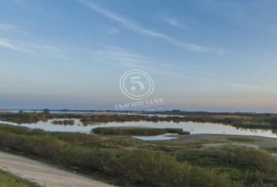 Teren agricol intravilan de 4472 mp, în Cornetu - 5