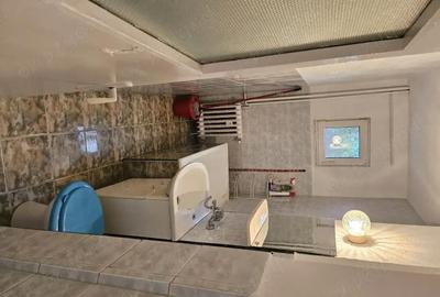 Apartament cu 2 camere semidecomandat în Aradul Nou - 4