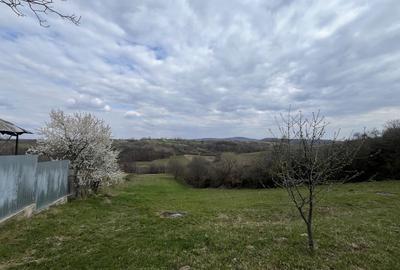 Teren de 5000 mp, în Bucuroaia - 7