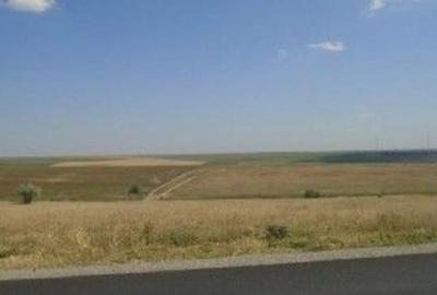 Teren de 9000 mp, în Schela - 9