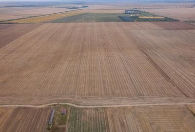 FRUMUSANI - PASAREA, TEREN 14420 MP, FRONT 40 M! - 11