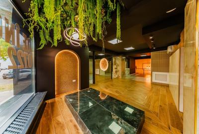 Spațiu comercial, de 336 mp, în Intim