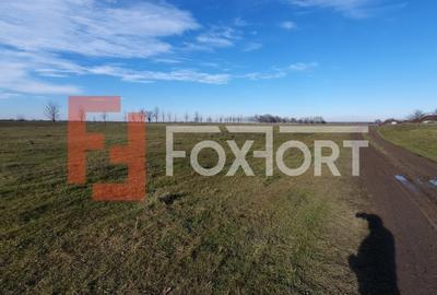 Teren intravilan 665 mp cu Puz aprobat - Padureni - 6