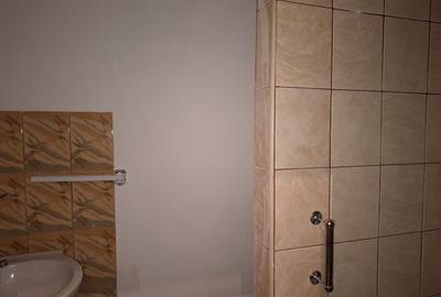 Casă individuală cu 12 camere cu Teren 207 Mp în Unirii - 11