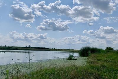 Teren agricol intravilan de 62000 mp, în Crevedia - 18
