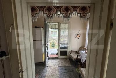 Casă cu 4 camere cu Teren 3000 Mp în Cășeiu - 15