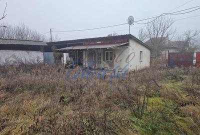 Hala 330 mp + Teren 1000 mp, Borsa, Cluj - 2