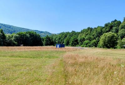 2500 mp TEREN INTRAVILAN MUNTII APUSENI, Negreni – Cluj, E60 - Mal Crisul Repede - 10