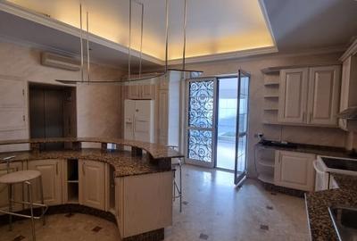 Vila cu arhitectura reprezentativa, aproape de Piata Victoriei - 10