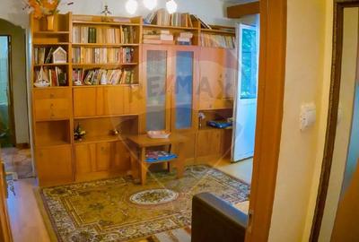 Apartament cu 2 camere de inchiriat in Deva - 1