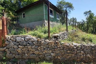 Casa veche de vanzare - 4