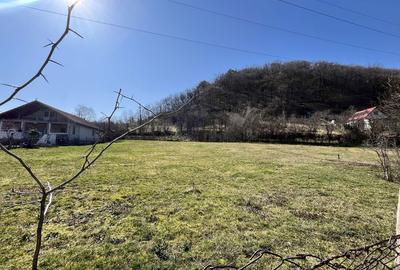 Spațiu comercial, în Săsciori - 4