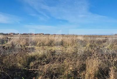 Teren de 900 mp, în Odoreu - 2