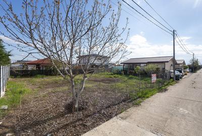 Teren Construcții intravilan de 390 mp, în Balotești - 6