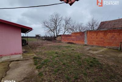 Casă cu 3 camere cu Teren 545 Mp în Lenauheim - 8