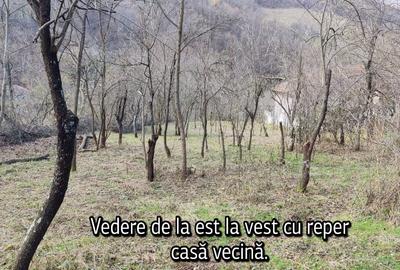 Proprietar vând teren intravilan 1491 mp Băile Herculane (Pecinișca-Păstrăvărie) - 8